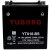 Tuborg YTX16-BS 12V 14.7Ah 240A AGM akumulator motocyklowy 1