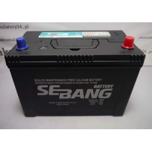 Sebang  EFB T100L 12V 95Ah 890A P+ 4