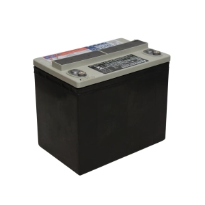 C&D DCS-33UNC RIT AGM 12V 33Ah Tesla Accu - Model S 2013-2016