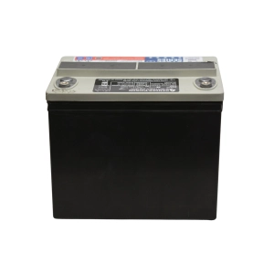 C&D DCS-33UNC RIT AGM 12V 33Ah Tesla Accu - Model S 2013-2016