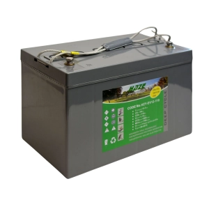 HAZE HZY EV12-110 12V 119AH EV110 EV 110