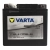 VARTA YTX5L-4 YTX5L-BS akumulator motocyklowy