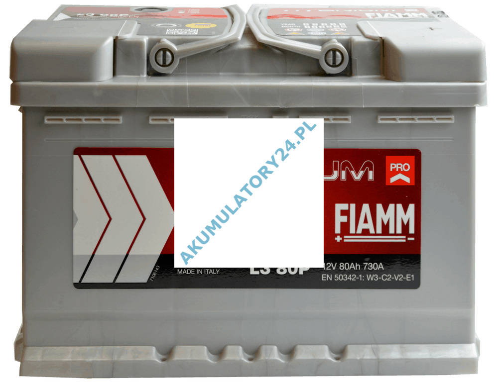 Batteria Fiamm L380P Titanium Pro 80Ah 730A Dx 